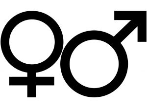 919297_male_female